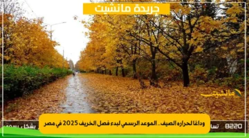 وداعًا لحرارة الصيف.. الموعد الرسمي لبدء فصل الخريف 2025 في مصر 1